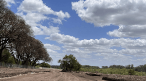 Superficie delimitada y despejada con motoniveladora La Posta de Pilar.