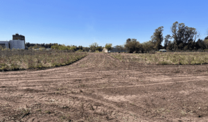 Limpieza y demarcación en intersección de vía rápida con calles secundarias.